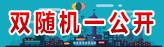 雙隨機一公開